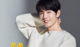 娱乐圈吃瓜爆料肖战小说,娱乐圈风云再起，揭秘明星背后的秘密