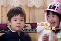 吃瓜娱乐圈八卦图文下载,揭秘明星幕后故事