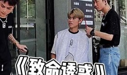 吃瓜群众视频短片,短视频中的社会现象解析