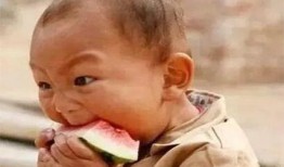 阿呆娱乐吃瓜,揭秘娱乐圈最新热点事件