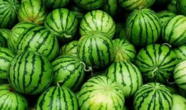 五一吃瓜今日必吃大瓜下一句是啥,揭秘今日必吃大瓜背后的惊人真相