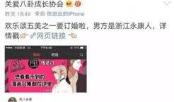 吃瓜娱乐圈类小说,瓜田里的明星秘闻