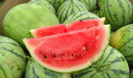 五一吃瓜今日必吃大瓜下一句是啥,揭秘今日必吃大瓜背后的惊人真相