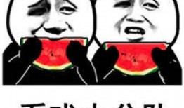 娱乐吃瓜的达人叫什么,揭秘娱乐圈“吃瓜达人”背后的故事