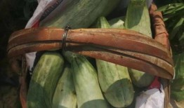 娱乐吃瓜带货,娱乐圈吃瓜达人带你解锁明星带货新姿势