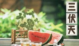 娱乐吃瓜健康养生小说