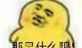 吃瓜表情包怎么回复,轻松幽默的社交互动新方式