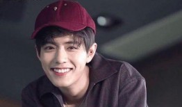 娱乐圈吃瓜爆料肖战小说,娱乐圈风云再起，揭秘明星背后的秘密