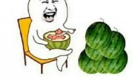 娱乐吃瓜的达人叫什么,揭秘娱乐圈“吃瓜达人”背后的故事